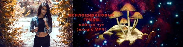 СК Осташков