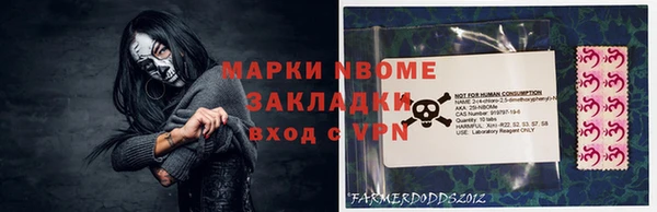 стафф Осинники
