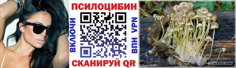 Псилоцибиновые грибы Magic Shrooms  Купить закладки  Кстово 