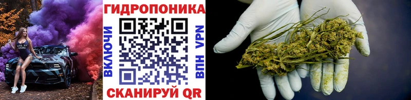 Бошки Шишки марихуана Кстово